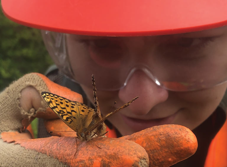 Ecofor employee looking at butterfly