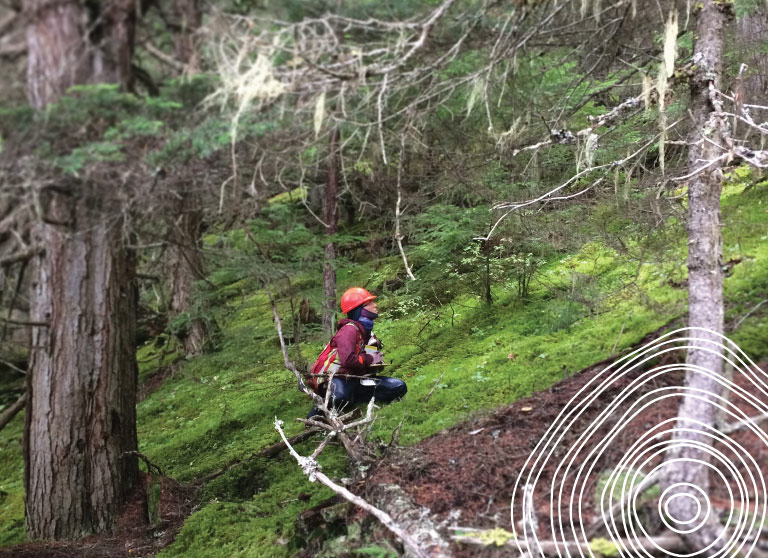 Archaeologist in forest doing research project