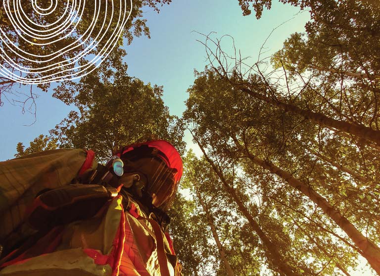 Ecofor worker wearing all necessary ppe 