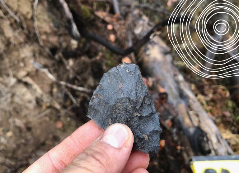 Archaeologist holding up artifact