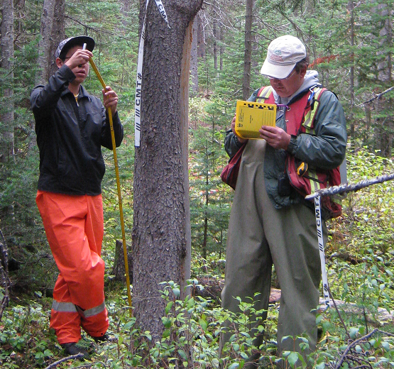 Dome Mountain Mine